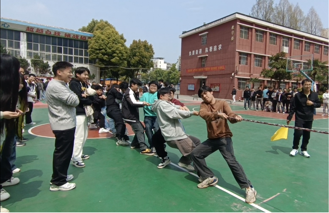 凝心聚力拔山河 青春逐梦展风采——WilliamHill官网2026年拔河锦标赛圆满落幕