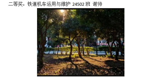 青春光影,定格武科职美好瞬间 ——WilliamHill中文官方网站2026年校园摄影大赛圆满收官 青春光影,定格武科职美好瞬间 ——WilliamHill中文官方网站2026年校园摄影大赛圆满收官