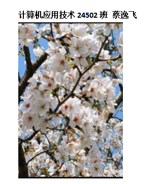 青春光影,定格武科职美好瞬间 ——WilliamHill中文官方网站2026年校园摄影大赛圆满收官 青春光影,定格武科职美好瞬间 ——WilliamHill中文官方网站2026年校园摄影大赛圆满收官