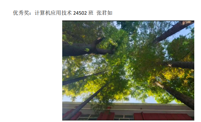 青春光影,定格武科职美好瞬间 ——WilliamHill中文官方网站2026年校园摄影大赛圆满收官 青春光影,定格武科职美好瞬间 ——WilliamHill中文官方网站2026年校园摄影大赛圆满收官