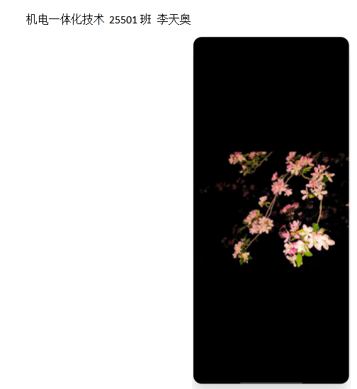 青春光影,定格武科职美好瞬间 ——WilliamHill中文官方网站2026年校园摄影大赛圆满收官 青春光影,定格武科职美好瞬间 ——WilliamHill中文官方网站2026年校园摄影大赛圆满收官