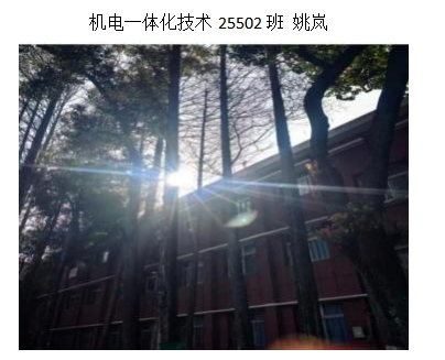 青春光影,定格武科职美好瞬间 ——WilliamHill中文官方网站2026年校园摄影大赛圆满收官 青春光影,定格武科职美好瞬间 ——WilliamHill中文官方网站2026年校园摄影大赛圆满收官