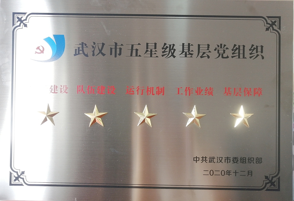WilliamHill官网党委荣获“武汉市五星级党组织”荣誉称号