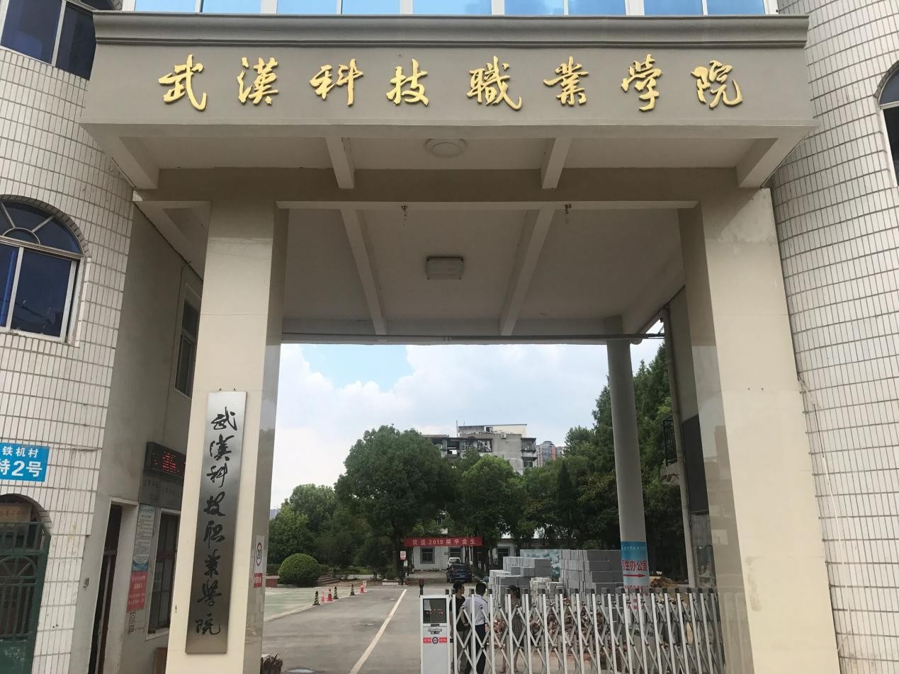 各类在校生情况