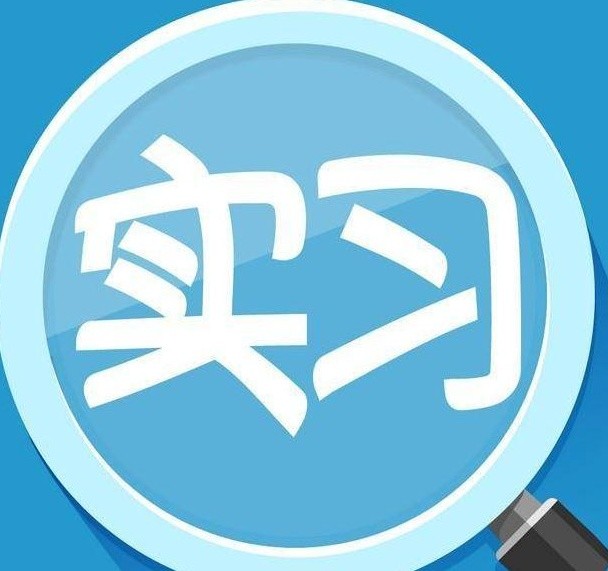 顶岗实习心得
